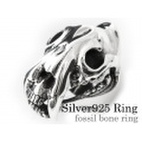 フォッシルボーン リング (サー ベルタイガー) シルバー 指輪 [シルバーリング] 送料無料