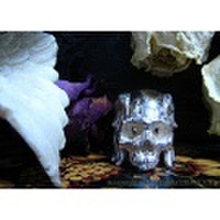 羽根モチーフスカルリング 『HOD(ホド)』 / Silver925