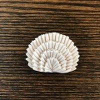 中嶋寿子のブローチ 02(fan shaped37)