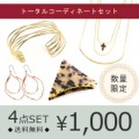 【数量限定】福袋 レディース 2018 アクセサリー ヘアアクセサリー　バンスクリップ　ピアス　ネックレス　ブレスレット　バングル　べっ甲　シンプル　エレガント　リボン　1000円　お買い得　ヘアアクセサリー　ヘアカフス　プレゼント 送料無料