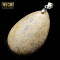 【特選】フォッシルコーラル　ペンダント（sg181804）【メール便可】