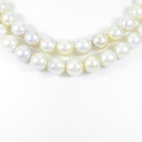 シルバークラスプ アコヤパールネックレス10％引き