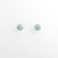 【新品】PT パライバトルマリンピアス