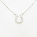 【新品】プラチナダイヤモンドネックレス 1．003ct・E・VS2?SI1・VG?G