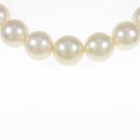 シルバークラスプ シロチョウパールネックレス