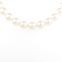 タサキ アコヤパールネックレス