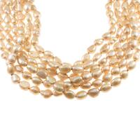 コンツィー Kong qi NECKLACE