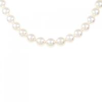 シルバークラスプ アコヤパール ネックレス 7?7.5mm