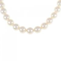 シルバークラスプ アコヤパール ネックレス 8?8.5mm