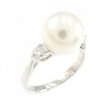 PT アコヤパール リング 9.3mm