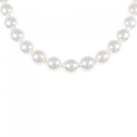 【新品】シルバークラスプ アコヤパール ネックレス 8-8.5mm
