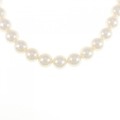 シルバークラスプ アコヤパール ネックレス 7.5-8mm