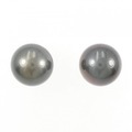 K14WG 黒蝶パール ピアス 12.6mm