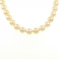 シルバークラスプ アコヤパール ネックレス 9-9.5mm
