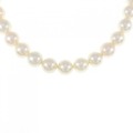 シルバークラスプ アコヤパール ネックレス 7.5-8mm