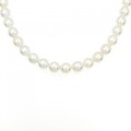 タサキ アコヤパール ネックレス 8-8.5mm