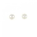 ミキモト アコヤパール ピアス 7.3mm