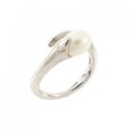 MISTY RING