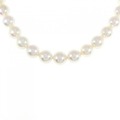 シルバークラスプ アコヤパール ネックレス 8-8.5mm