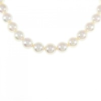 シルバークラスプ アコヤパール ネックレス 8-8.5mm