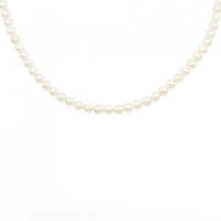 シルバークラスプ アコヤパール ネックレス 4-4.5mm
