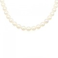 シルバークラスプ アコヤパール ネックレス 7.5-8mm