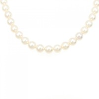シルバークラスプ アコヤパール ネックレス 7.5-8mm