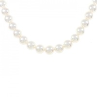 ミキモト ミキモト プレミアム ネックレス 8-8.5mm