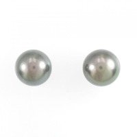 PT 黒蝶パール ピアス 11.6mm