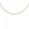 シルバークラスプ アコヤパール ネックレス 5.5-6mm