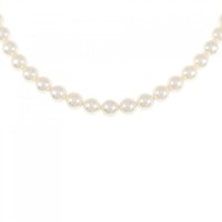 シルバークラスプ アコヤパール ネックレス 5.5-6mm