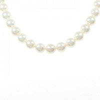 シルバークラスプ アコヤパール ネックレス 9-9.5mm