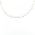 【新品】シルバークラスプ アコヤパール ネックレス 4-4.5mm