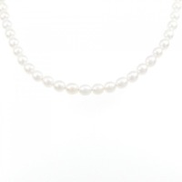 【新品】シルバークラスプ アコヤパール ネックレス 4-4.5mm