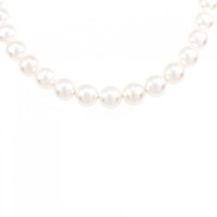 【新品】シルバークラスプ/WGK14 花珠 アコヤパール ネックレス イヤリング セット 7-7.5mm