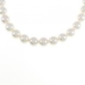 シルバークラスプ アコヤパール ネックレス 7.5-8mm