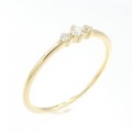 エテ ダイヤモンド リング 0.05CT