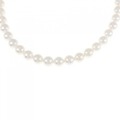 シルバークラスプ アコヤパール ネックレス 6-6.5mm