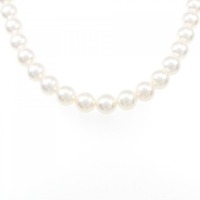 シルバークラスプ アコヤパール ネックレス 6.5-7mm