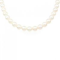シルバークラスプ アコヤパール ネックレス 6.5-7mm