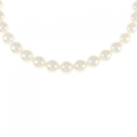 シルバークラスプ アコヤパール ネックレス 7.5-8mm