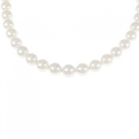 シルバークラスプ アコヤパール ネックレス 6.5-7mm