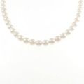 シルバークラスプ アコヤパール ネックレス 7.5-8.0mm