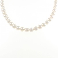 シルバークラスプ アコヤパール ネックレス 7.5-8.0mm