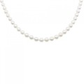 シルバークラスプ アコヤパール ネックレス 4.5-5.5mm