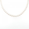 シルバークラスプ アコヤパール ネックレス 5.5-6mm