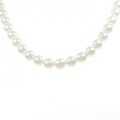シルバークラスプ アコヤパール ネックレス 7.5-8.0mm