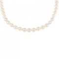 シルバークラスプ アコヤパール ネックレス 5.5-6mm