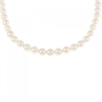 シルバークラスプ アコヤパール ネックレス 5.5-6mm
