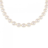 シルバークラスプ アコヤパール ネックレス 7.5-8mm